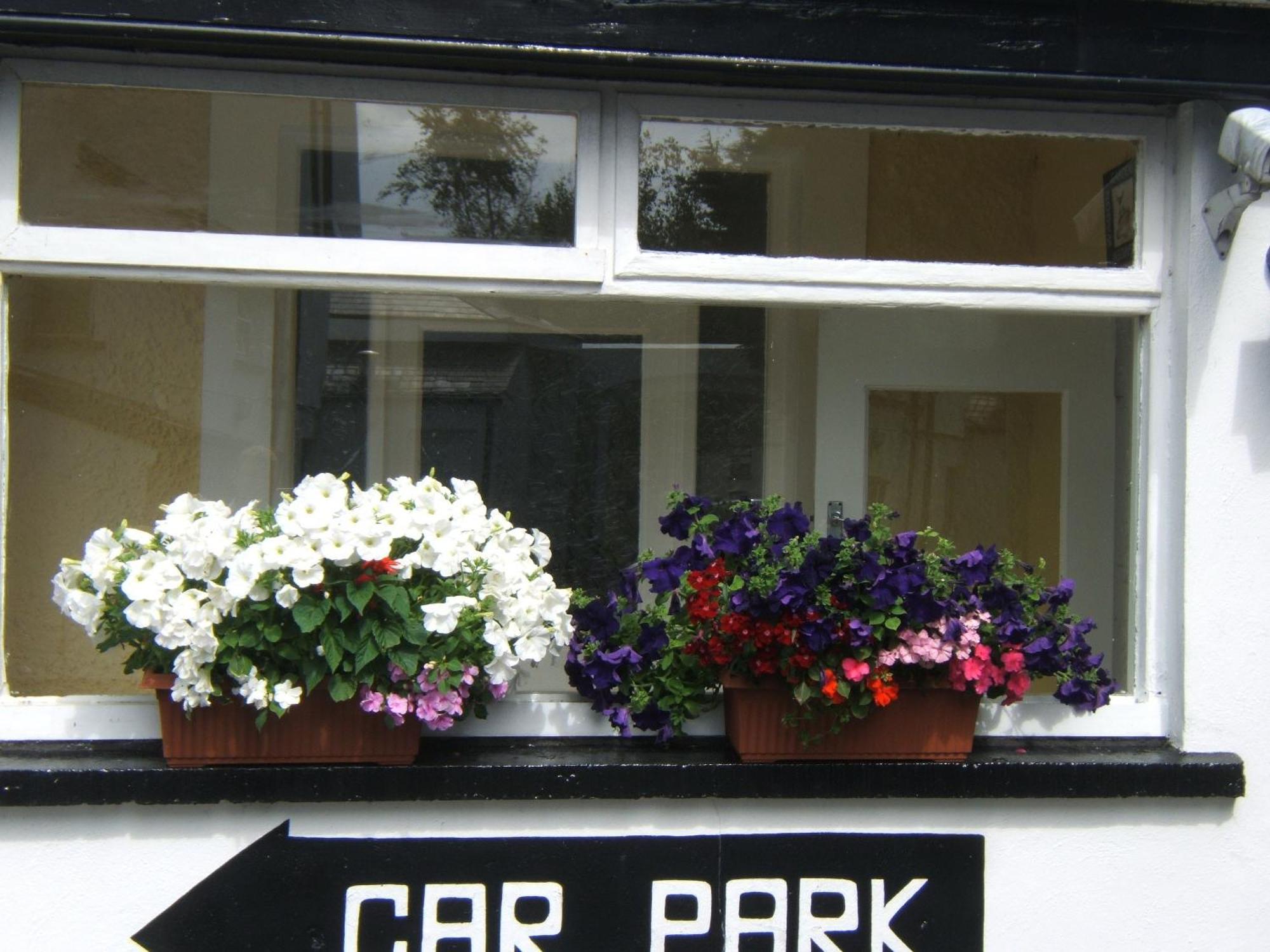 Faythe Guesthouse Wexford Zewnętrze zdjęcie