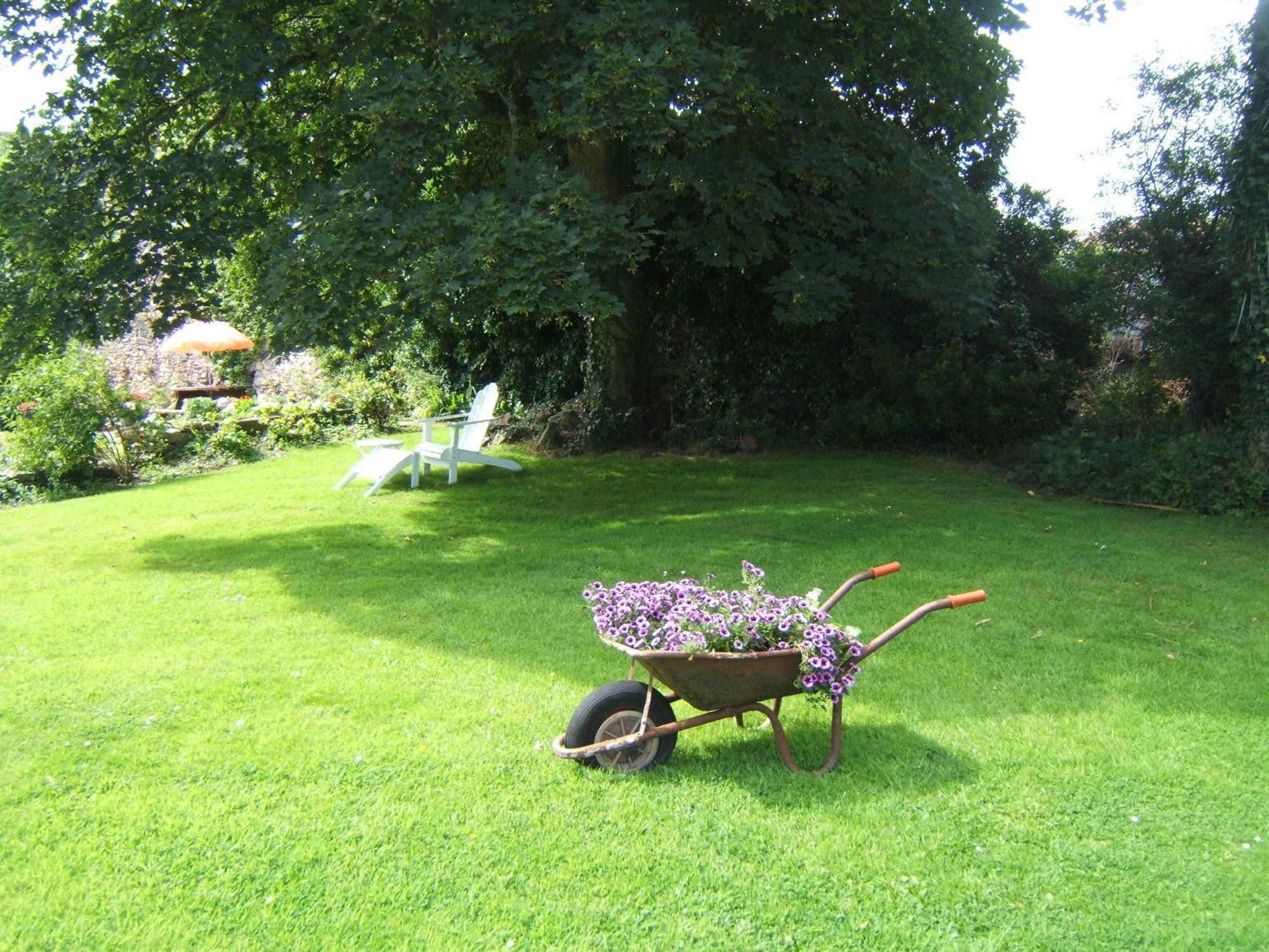 Faythe Guesthouse Wexford Zewnętrze zdjęcie