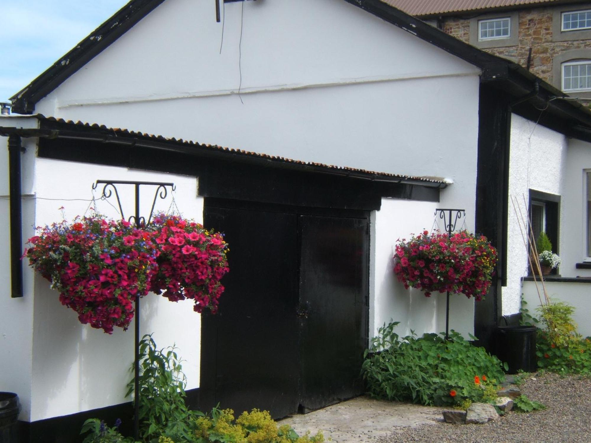Faythe Guesthouse Wexford Zewnętrze zdjęcie