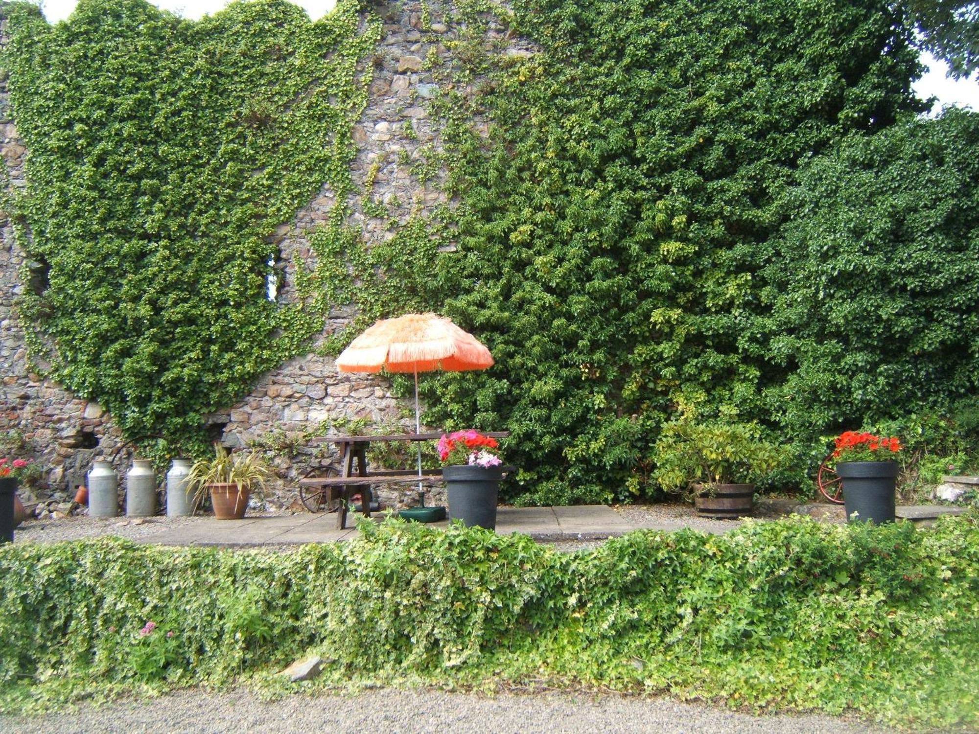 Faythe Guesthouse Wexford Zewnętrze zdjęcie